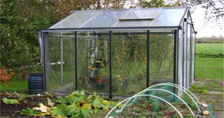 Full Basic Guidance for Starting Your Own Greenhouse Garden